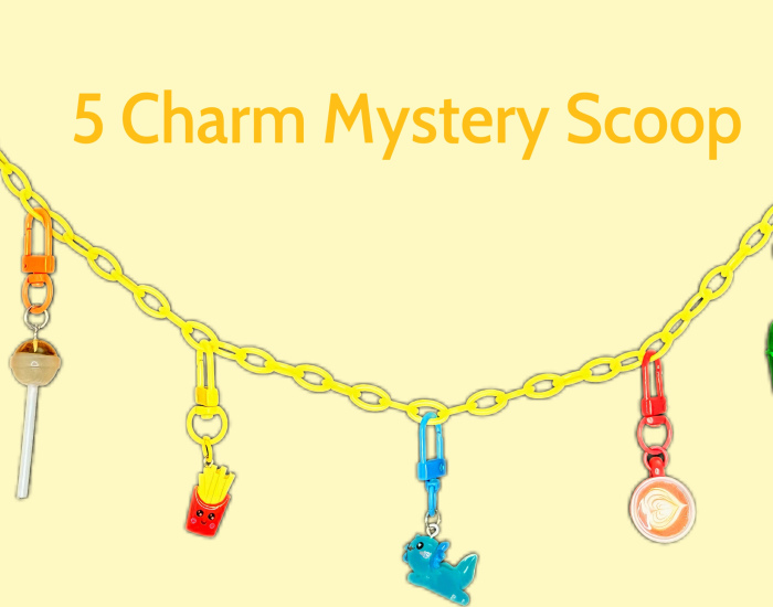 5 Item Mystery Scoop Necklace